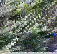 Self-Guided Waterfall Gully to Mount Lofty Hike from Adelaide - Great Ocean Road Tourism