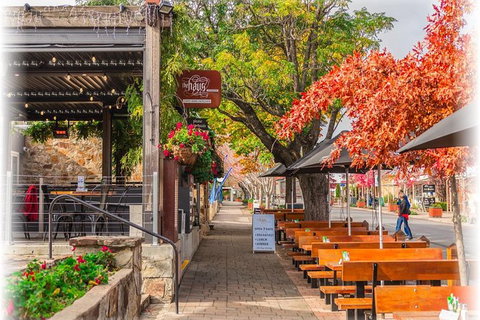Barossa Valley Via Hahndorf ( Historical German Village ) Inc Maggie Beers Farm - Great Ocean Road Tourism 6
