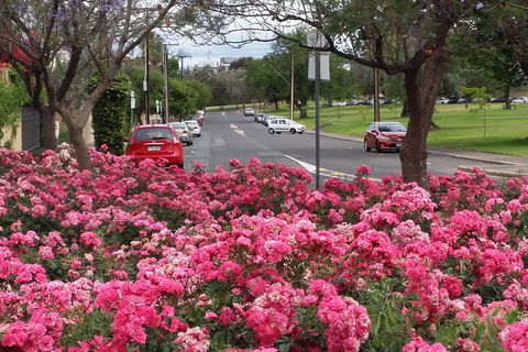 Adelaide Walking Tour: Hills, Squares And Parklands - Great Ocean Road Tourism 6