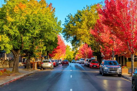 Adelaide City Highlights With Hahndorf And Mt. Lofty - Great Ocean Road Tourism 7