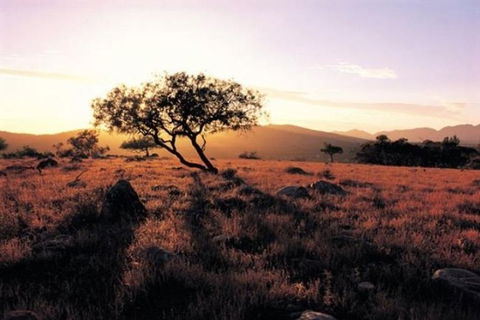 Adelaide To Coober Pedy 7 DAY SMALL GROUP 4WD SAFARI - Great Ocean Road Tourism 0