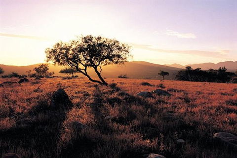 Adelaide To Coober Pedy 7 DAY SMALL GROUP 4WD SAFARI - Great Ocean Road Tourism 4