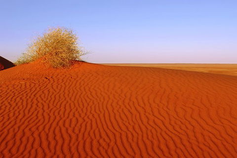 Adelaide To Coober Pedy 7 DAY SMALL GROUP 4WD SAFARI - Great Ocean Road Tourism 3