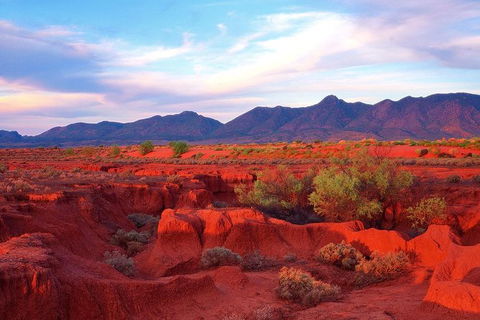 Adelaide To Coober Pedy 7 DAY SMALL GROUP 4WD SAFARI - Great Ocean Road Tourism 7