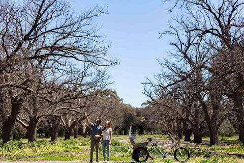 Adelaide 90-Minute Pedicab Tour: Scenic Green & River Experience - Great Ocean Road Tourism 8