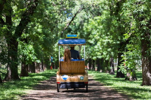 Adelaide 90-Minute Pedicab Tour: Scenic Green & River Experience - Great Ocean Road Tourism 2