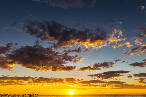 Adelaide Ocean Safari - Twilight Safari - Great Ocean Road Tourism 1