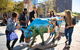 Adelaide Scavenger Hunt: Adelaide Adventure - thumb 1