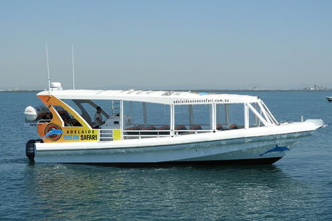 Adelaide Ocean Safari - Wild Dolphin Safari - Great Ocean Road Tourism 0