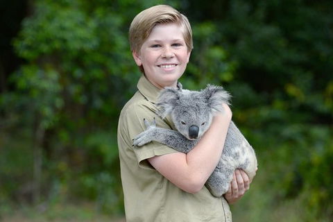 Croc Express To Australia Zoo From Brisbane - Great Ocean Road Tourism 1