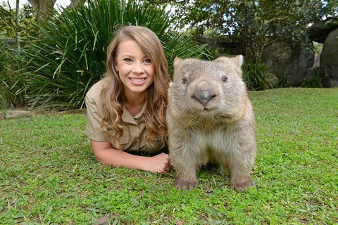 Croc Express To Australia Zoo From Brisbane - Great Ocean Road Tourism 0