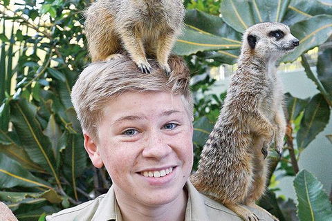Croc Express To Australia Zoo From Brisbane - Great Ocean Road Tourism 9