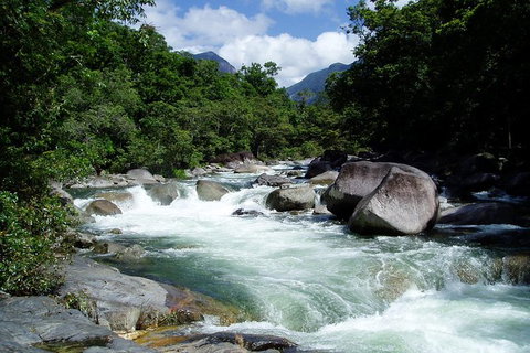 Daintree Rainforest, Cape Tribulation, Mossman Gorge In A Day - Great Ocean Road Tourism 0