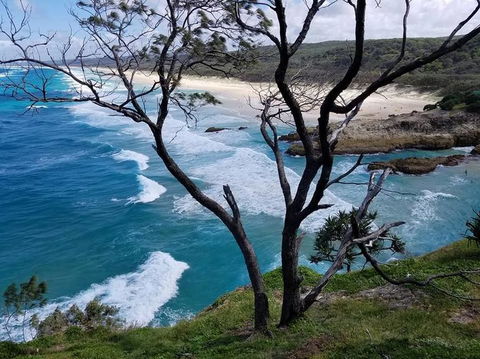 North Stradbroke Island Day Trip From Brisbane - Great Ocean Road Tourism 5