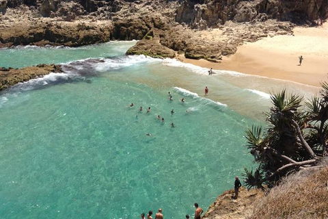 North Stradbroke Island Day Trip From Brisbane - Great Ocean Road Tourism 1