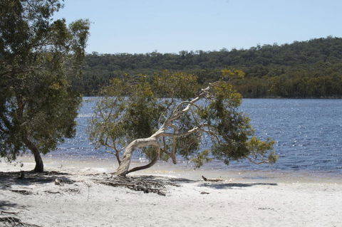 North Stradbroke Island Day Trip From Brisbane - Great Ocean Road Tourism 24