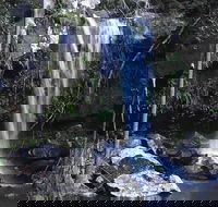 You Choose the Tour Brisbane Private Chauffeur Driven Personal Tour - Great Ocean Road Tourism