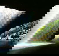 World Heritage Springbrook National Park Tour Including Natural Bridge - Great Ocean Road Tourism