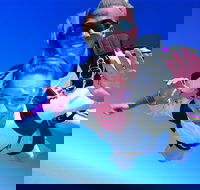 Brisbane Tandem Sky Dive - Great Ocean Road Tourism