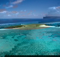 5-Day Fraser Island and Great Barrier Reef Tour - Great Ocean Road Tourism