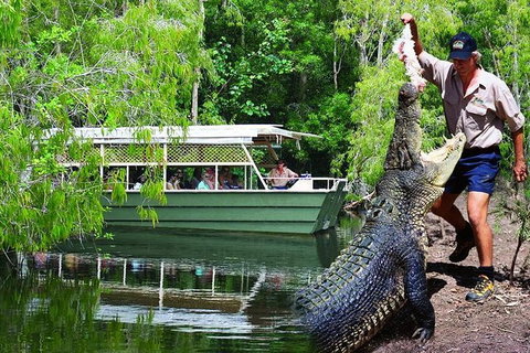 Crocs, Creatures And Culture Tour Ex Cairns - Great Ocean Road Tourism 1