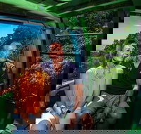 Skyrail Rainforest Cableway Day Trip from Palm Cove - Great Ocean Road Tourism