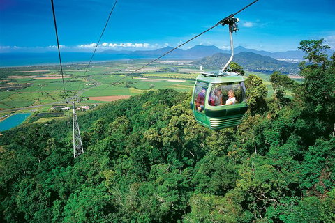 Skyrail Rainforest Cableway Day Trip From Palm Cove - Great Ocean Road Tourism 3