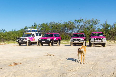 3 Day 4wd Tagalong Tour - Fraser Island - Great Ocean Road Tourism 0