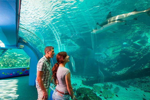 Reef HQ Great Barrier Reef Aquarium General Entry Ticket - Great Ocean Road Tourism 1