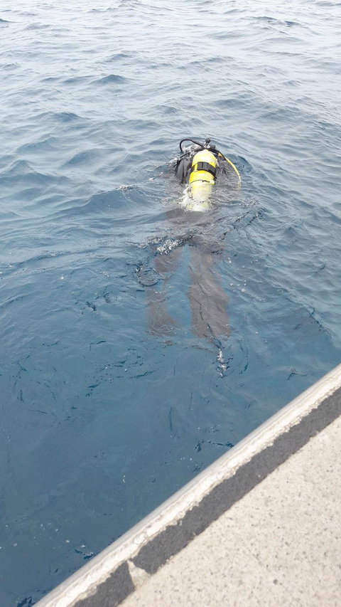 Great Barrier Reef Cruise From Townsville Or Magnetic Island - Great Ocean Road Tourism 4