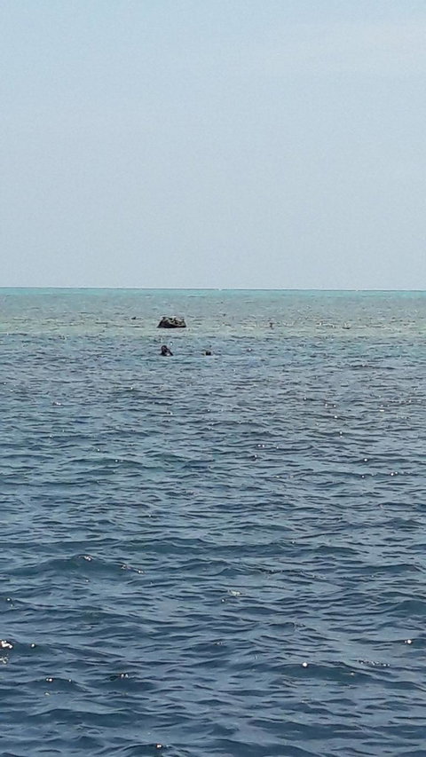 Great Barrier Reef Cruise From Townsville Or Magnetic Island - Great Ocean Road Tourism 2