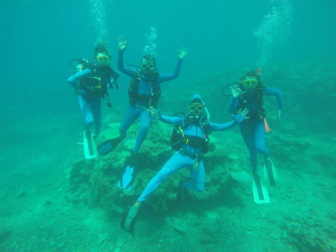 Great Barrier Reef Cruise From Townsville Or Magnetic Island - Great Ocean Road Tourism 5