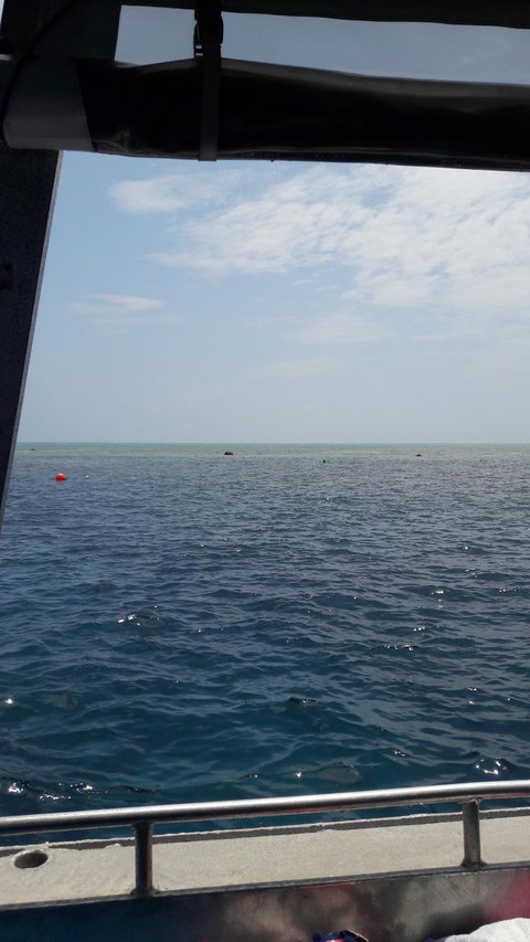 Great Barrier Reef Cruise From Townsville Or Magnetic Island - Great Ocean Road Tourism 3