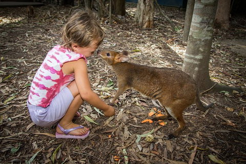Hartley's Crocodile Adventures Day Trip From Cairns - Great Ocean Road Tourism 1