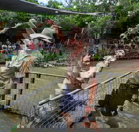 Hartley's Crocodile Adventures Day Trip from Cairns - Great Ocean Road Tourism