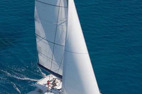 Afternoon Low Isles Snorkeling And Sailing Cruise From Port Douglas - Great Ocean Road Tourism 1
