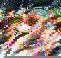 1770 CASTAWAY SURVIVOR 3 Day 2 Night Island Adventure Tour