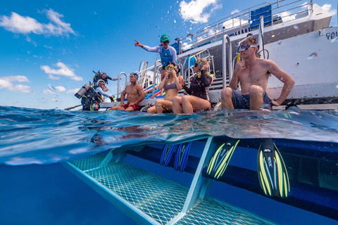 Calypso Outer Great Barrier Reef Cruise From Port Douglas - Great Ocean Road Tourism 4