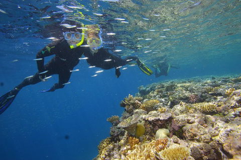 Calypso Outer Great Barrier Reef Cruise From Port Douglas - Great Ocean Road Tourism 3