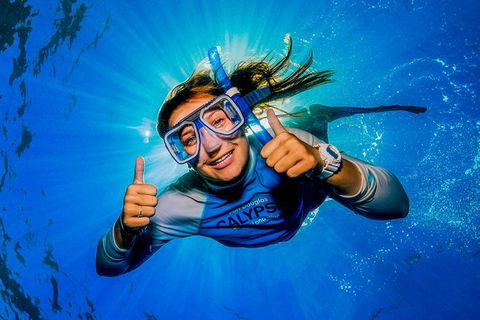 Calypso Outer Great Barrier Reef Cruise From Port Douglas - Great Ocean Road Tourism 2