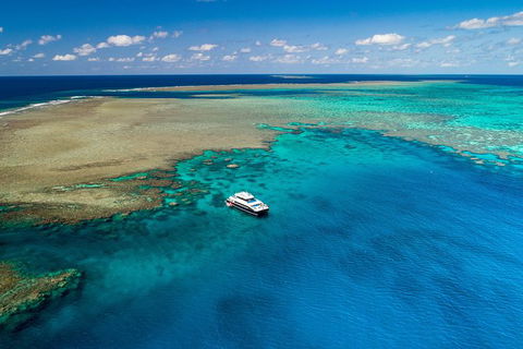 Calypso Outer Great Barrier Reef Cruise From Port Douglas - Great Ocean Road Tourism 12