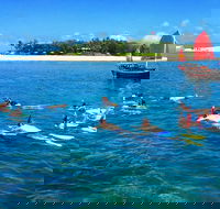 Low Island Snorkelling Private Charter Aboard Authentic Chinese Junk Boat - Great Ocean Road Tourism