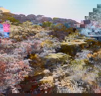 Kings Canyon Day Trip from Ayers Rock - Great Ocean Road Tourism