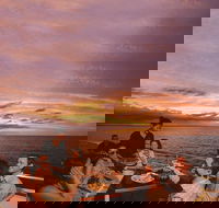 Darwin Harbour Sunset Cruise with Optional Buffet Dinner - Great Ocean Road Tourism