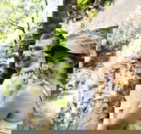 Small-Group Litchfield National Park Day Trip from Darwin - Great Ocean Road Tourism