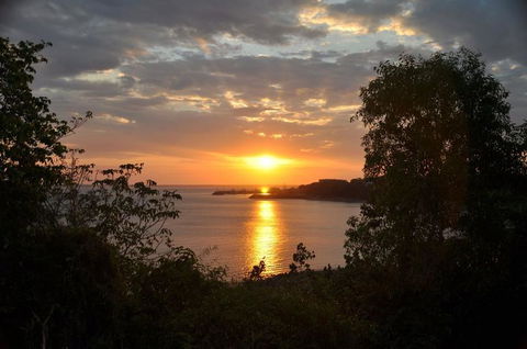 Kakadu, Nourlangie And Yellow Waters Tour From Darwin - Great Ocean Road Tourism 24