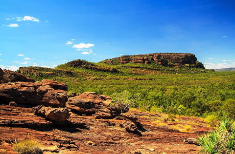 Kakadu, Nourlangie And Yellow Waters Tour From Darwin - Great Ocean Road Tourism 34
