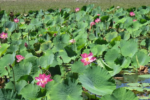 Darwin To Kakadu Day Trip By Air Including Yellow Water Cruise - Great Ocean Road Tourism 10
