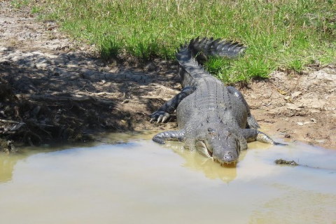 Darwin To Kakadu Day Trip By Air Including Yellow Water Cruise - Great Ocean Road Tourism 5