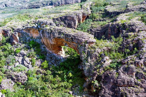 Darwin To Kakadu Day Trip By Air Including Yellow Water Cruise - Great Ocean Road Tourism 13
